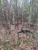 IMG_20220903_181837.thumb.jpg.9bee82167bcde1b996a98303abf75783.jpg