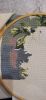 IMG_20220905_152941.thumb.jpg.91c548ec86e4d868cbd819e935547612.jpg