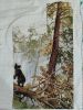 IMG_20220912_201031.thumb.jpg.902d2da60cf830534dab2739bd30f261.jpg