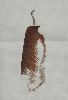 IMG_20220913_224648.thumb.jpg.0dfe80bbb65726ad2dadd49efd23aff7.jpg
