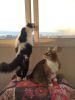 IMG_20220917_182122.thumb.jpg.eb5668fa8e858cf86790c4cfb0704762.jpg