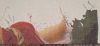 IMG_20220917_223756.thumb.jpg.b19f47140bef827bb6d026873ea197b3.jpg