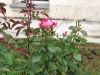 IMG_20220918_132118.thumb.jpg.7fbee973bee9540a6931aa4da95510bb.jpg