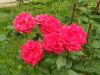 IMG_20220918_132126.thumb.jpg.8323686eefcbfcb046bf538fa3c0fd74.jpg