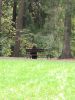 IMG_20220918_143616.thumb.jpg.bb5d9e89365d251f2862d27ad81bfa54.jpg