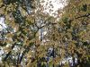 IMG_20220918_145517.thumb.jpg.8fadec60b1f83e1111d214dd8d6bb37c.jpg