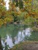 IMG_20220918_150310.thumb.jpg.d4d228511342e30b60c51f3fa8e9964a.jpg