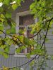 IMG_20220918_152454.thumb.jpg.b4fe0ee6ec0e5678f3b6a9677f9e113f.jpg