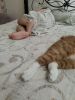IMG_20220923_080614.thumb.jpg.5394befecf0bfa9ca1057d3190e06422.jpg