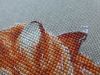 P1350099.thumb.JPG.dfda7690e89f6d0affd06a9dd1c7d466.JPG