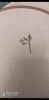 S20911-182253.thumb.png.d87c31c486f08e5b05ef1e99148a0c98.png