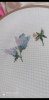 S20911-182328.thumb.png.82641b68e86d6470453ea3db06efc8dc.png