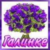 galina-10.thumb.jpg.2d978b1c5c5bfdbf363f30e8ce5922a2.jpg