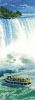 images.thumb.jpeg.36ce28f5287b59c9085c62f20bd35fce.jpeg