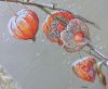 physalis_11.jpg.8ad50ed77d8c94ef143c260dce04c4ea.jpg