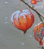physalis_12.jpg.76192d48e2441071b397d94f1c92e83a.jpg