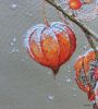 physalis_12.thumb.jpg.420cc718f616b22c2e174491ac530e7f.jpg