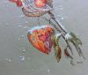 physalis_13.thumb.jpg.a5ade65cf0c8c8292280085f9ffd7555.jpg