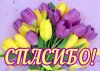 1041457878_--------4868.thumb.jpeg.9cc4cfbba0cc95b4c8d8e82ba56c7f3c.jpeg