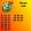 1122099294_6.thumb.jpeg.7314801c7bc89895bf8ecc98b8996fe3.jpeg