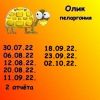 139086636_14.thumb.jpeg.db307ac82650a3addc02baf92b947684.jpeg