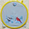 1494336461_DimensionsSnowBirds04.thumb.JPG.3573eb5affaefce297b6b3f8ee05e15b.JPG