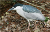 2022-10-07_10-52-39.thumb.png.6b5b7a762e9717690b64863b04327f12.png