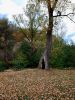 20220923_162708.thumb.jpg.54fe15014d1092970bab081a01ffe65c.jpg