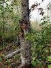 20220923_164138.thumb.jpg.981c711527cfcaa0b0fcf8e3bb16f617.jpg