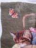 20221004_112514.thumb.jpg.897a9074ced7078aead4f2a49e2f7b07.jpg