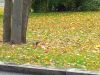 20221005_141455.thumb.jpg.96dcedc55930c614c0ec7be1b950acef.jpg