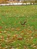20221005_141525.thumb.jpg.e1bd0b275b5f55b3e387611f4a68b7f5.jpg