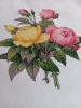 20221005_173940.thumb.jpg.032bfcf96be0db924e9b045ab2963af1.jpg?1665225094147