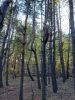 20221008_164614.thumb.jpg.ab46538956626abf60284ce90505e5b0.jpg