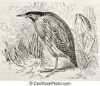 2121828108_.thumb.jpeg.bdc1a92bab0b97004eed147acc8ce112.jpeg