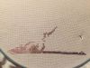 2123664652_.thumb.jpeg.688787ee21dae25563b71a2390a537db.jpeg