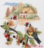 Anchor PCE0506, Autumn Bullfinches