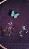 274871A6-ED9A-4681-8606-21CF302B079F.thumb.jpeg.bad3d75b8a87a5c519dd9433eea3b234.jpeg