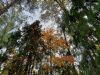 424023681_2022-10-0416-13-19.thumb.JPG.d84093f16702ae3944decc03ffa2b7bd.JPG