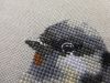 5.thumb.jpg.0afb18d2592eb03017d028d66c167994.jpg