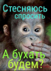 607309ab2cd48fdf64e10741f825e5fd.thumb.png.7fa67f3c936390f9663ee1a76b49c6cf.png