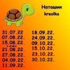 623779049_9.thumb.jpeg.ba24e09532da333b58b1331d72c77c64.jpeg