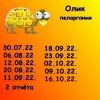 64013978_14.thumb.jpeg.bc89dbddd9812e67a3c4ab9ff595c9b5.jpeg