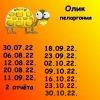 686111194_14.thumb.jpeg.8716cf28c16dcfc2dbf13e929bfd5099.jpeg
