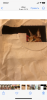 70078554-9186-4723-B48B-50F5093E5C5B.png.5f655d45780b16f25358a7e1c240cead.thumb.png.0a47da049281b816c21968e03490c179.png