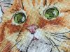 8!!!IMG_20220531_172139.jpg