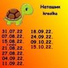 980395487_9.thumb.jpeg.a40bebdfd33c7663ea4caec0bce86a52.jpeg