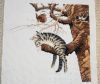 DSC03924.thumb.JPG.ffe64043bf977463264db46b1f0e3511.JPG