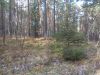DSC08451.thumb.JPG.c5b698ff99229bd96ec6716dcc466b3e.JPG