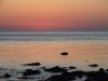 DSCF1541.thumb.JPG.53d68b92843d71d5d5fdf37dacb8734c.JPG